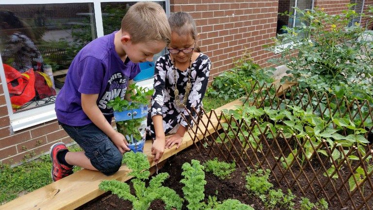 Students in grade 1 to grade 4 continue to learn this summer