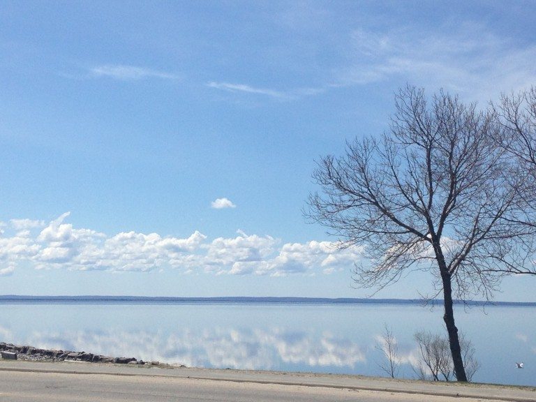 Blue-green algae bloom reported in Lake Nipissing