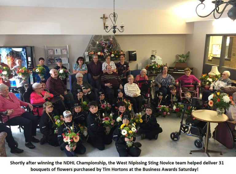 West Nipissing Sting PeeWee and Novice Rep Teams win Gold in NDHL Playoffs