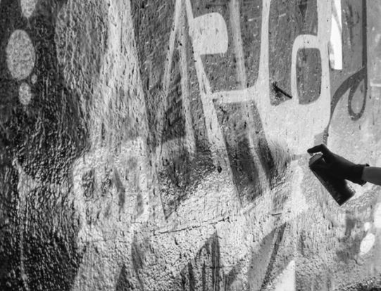 Graffiti prevented by vigilant neighbour