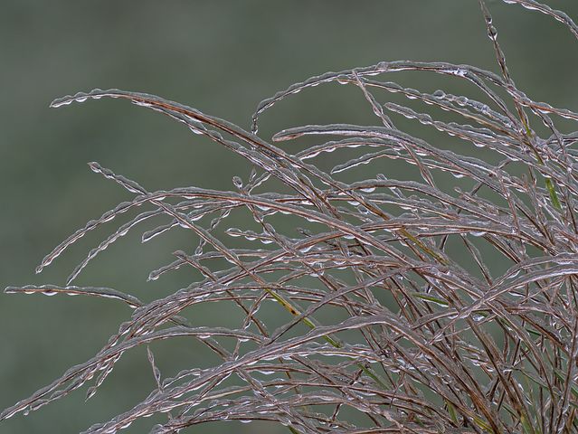 FREEZING RAIN WARNING IN EFFECT