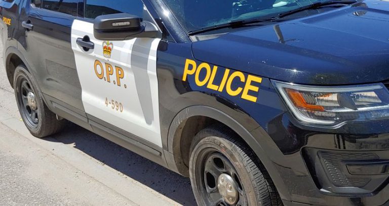 OPP investigating a motorcycle theft in Warren