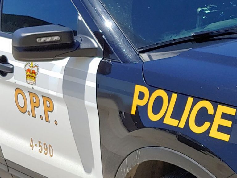 Sturgeon Falls man charged with running from police, dangerous weapons