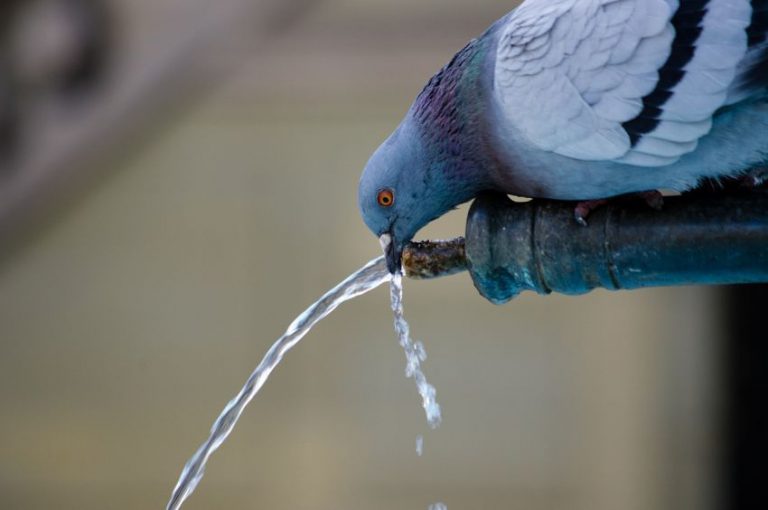 Heat Warning, stay hydrated