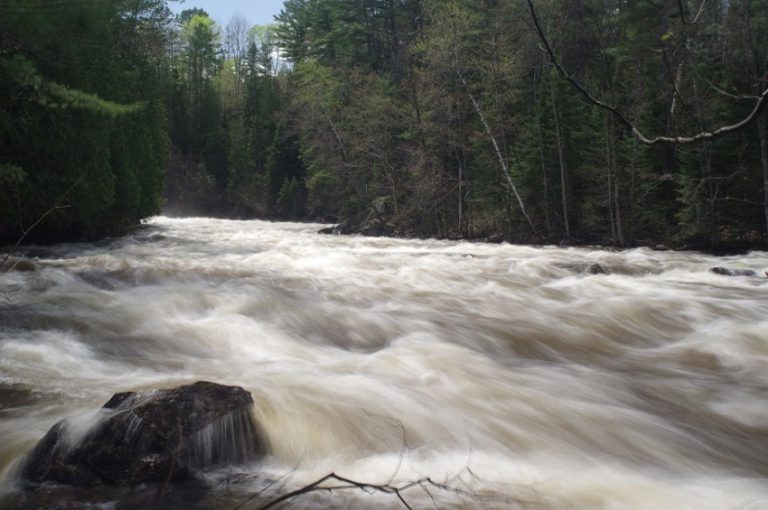 Conservation authority providing tour of Eau Claire Gorge Friday