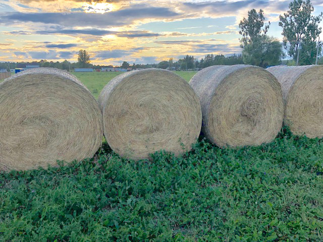 Feast on the Farm 2020 cancelled