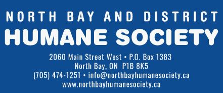 North Bay and District Humane Society to launch fundraising campaign Thursday