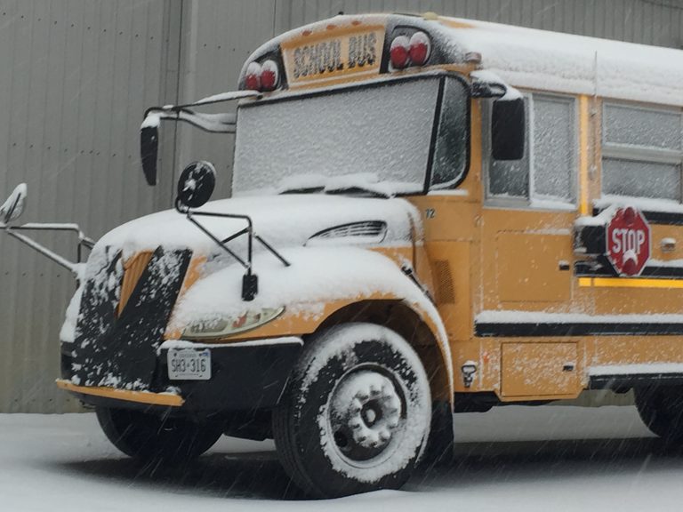 School buses cancelled