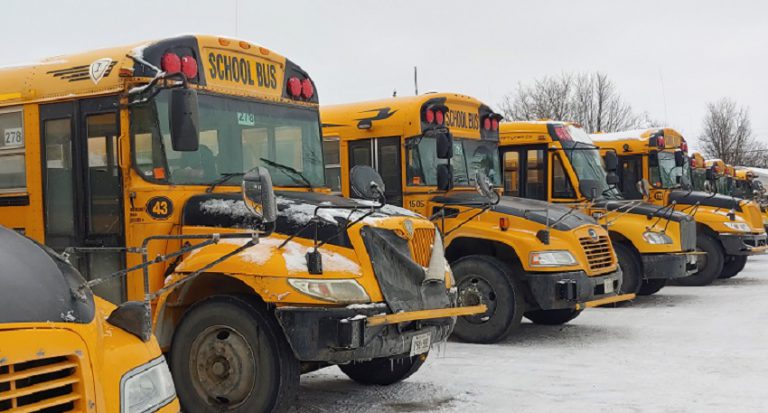 All school buses cancelled amid snowfall warning