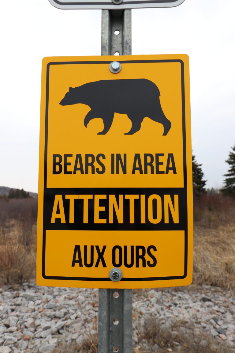 MNRF asking you to be ‘Bear Wise’ this spring