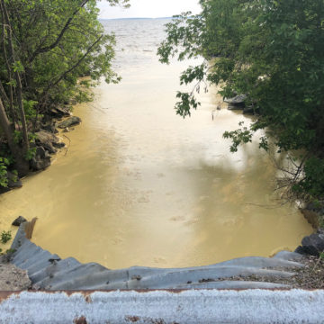 Pea Soup was on the menu when looking at Lake Nipissing this past weekend