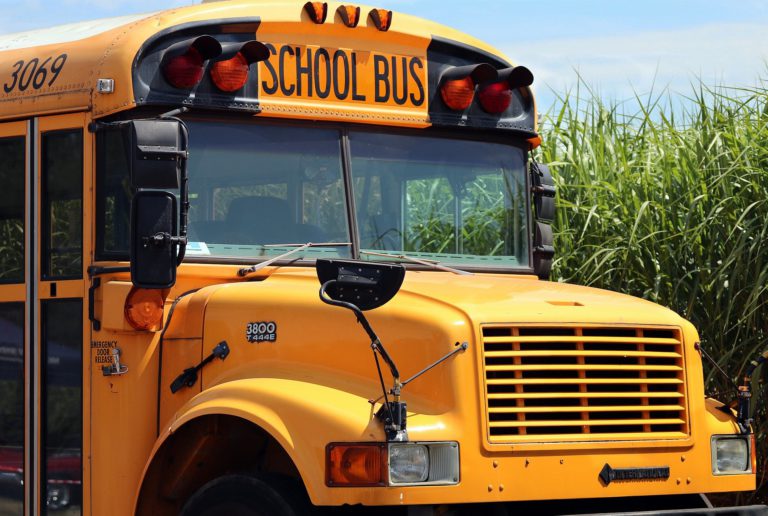 Pick up truck collides with school bus