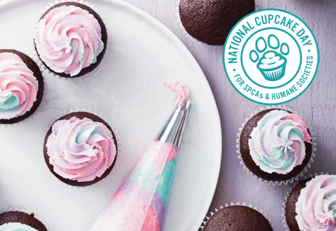 “Cupcake week” kicks off year of adoption centre fundraising