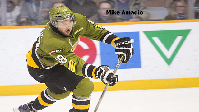 Mike Amadio joining Nick Paul with Senators