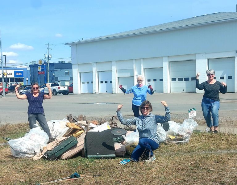 Community pitches in on beautification