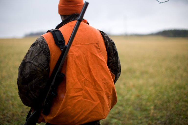 Hunter safety course now offered online