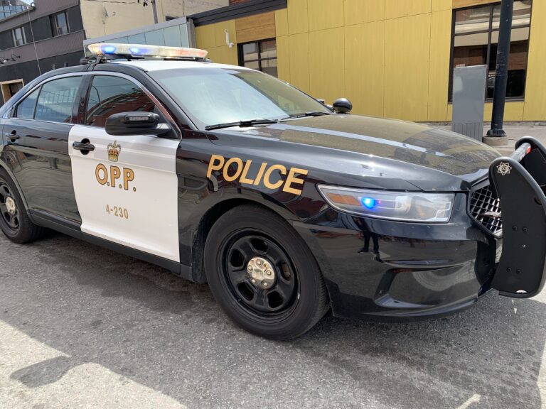 OPP report trespassing complaint leads to charges
