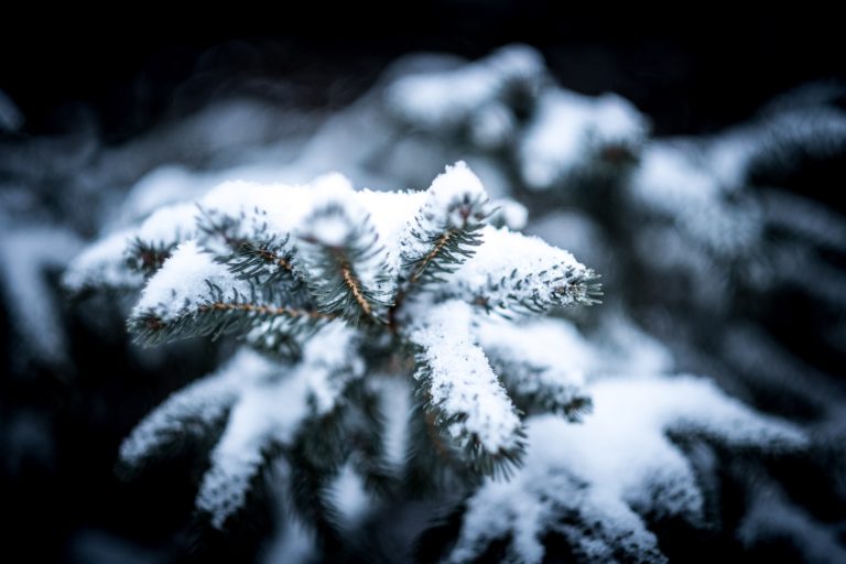 freezing, cold, warning, freezing warning, wind chill