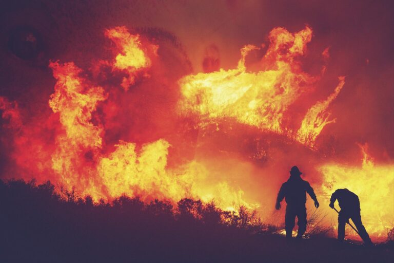Local fire ban issued across the area