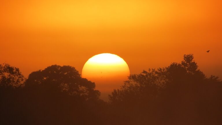 sun